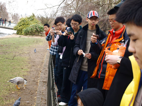 |HΌW-Ӣ11.25V݈FIӛ12