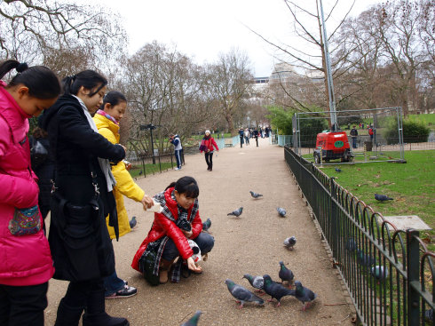 |HΌW-Ӣ11.25V݈FIӛ12