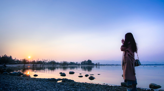 W(wng)j(lu)ÈDcğoP(gun)