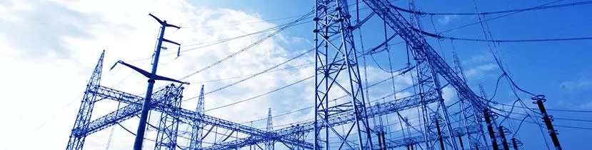 W(wng)j(lu)ÈDcğoP(gun)