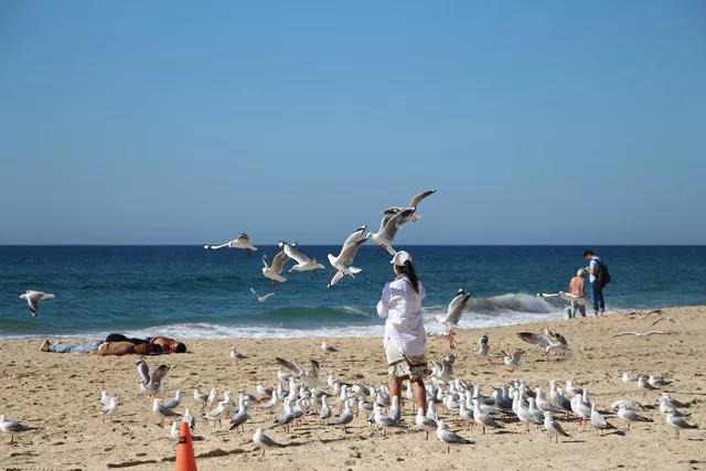 ºΌW(xu)I(yng)L(zhng)ӛ