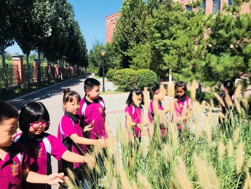 У@(dng)?jin)Ͻ̻щ?mng)ˇg(sh)n