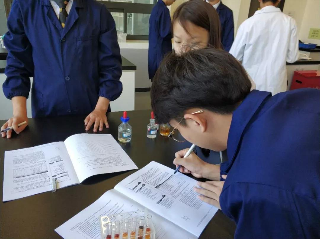 黑利伯瑞教學(xué)