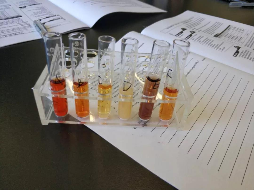 黑利伯瑞教學(xué)