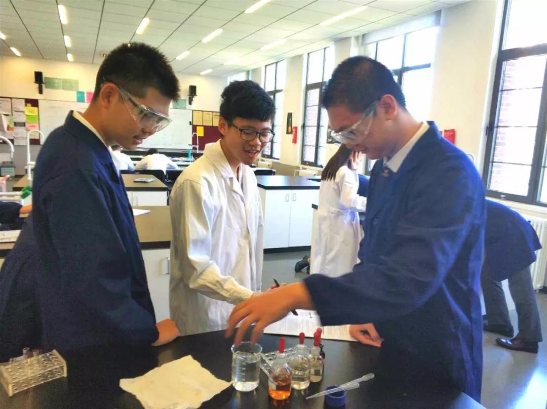 黑利伯瑞教學(xué)