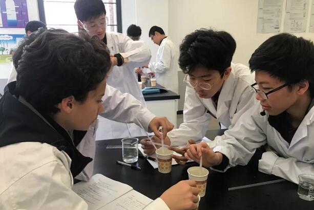 HW̌WHԄ ̽ƌWĊW