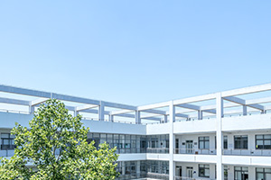 (gu)H.jpg