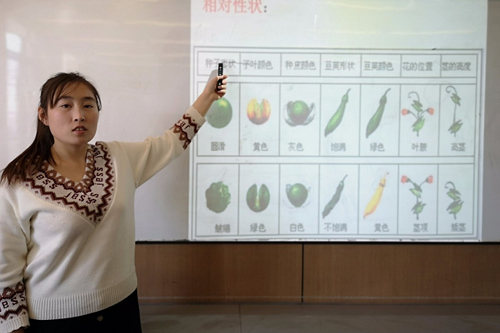 黑利伯瑞國際學(xué)校公開課