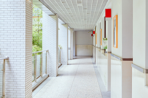 HW(xu)УЩ}һex