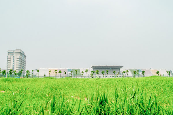上海財經(jīng)大學學費上海財經(jīng)大學學費多少多少
