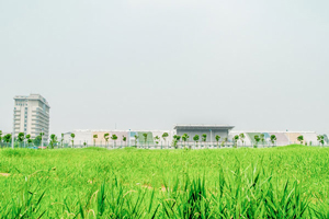 I(y)g(sh)W(xu)ԺW(xu)MX