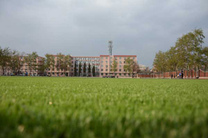 I(y)g(sh)W(xu)ԺĂI(y)