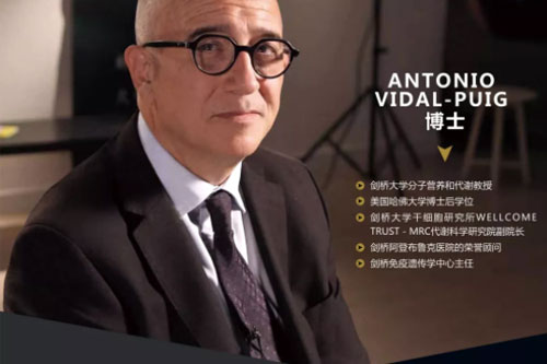 ¸WZWv | ڎ~ͨӢУһ