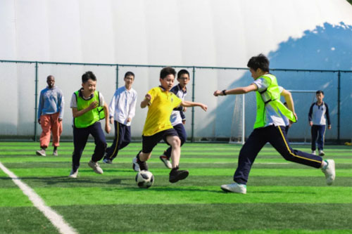 ¸W(xu)(gu)ZW(xu)У | ʮµĽɫʮµի@