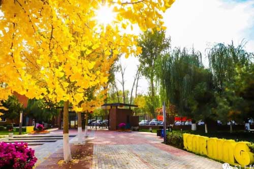 ¸W(xu)(gu)Z(y)W(xu)УôһƪУ