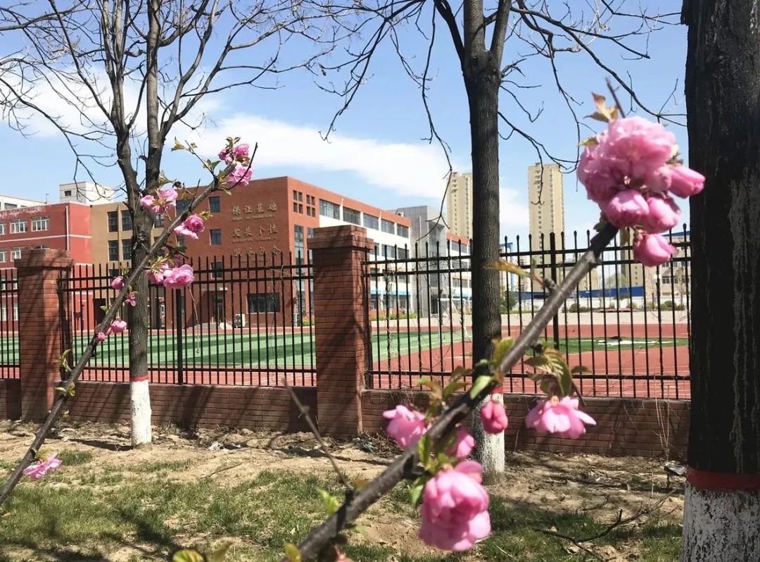 盛華碧桂園中英文學校