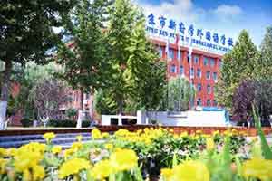 ¸W(xu)(gu)Z(y)W(xu)УСW(xu)h(hun)ô