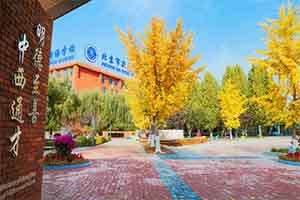 ¸W(xu)(gu)Z(y)W(xu)УСW(xu)ôӣ