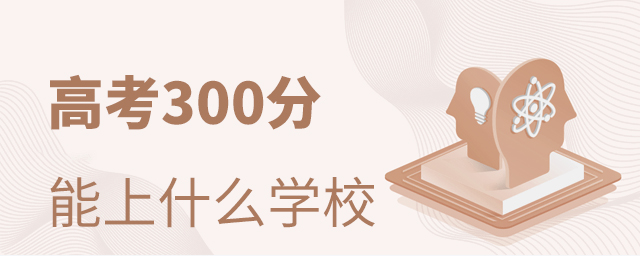 ߿300ʲôÌWУ