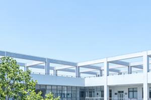 ZW(xu)HW(xu)Ժʲô(yu)