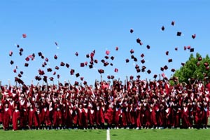 (gu)(ni)ׂ(g)CogniaJ(rn)COSSD(gu)HرмӌW(xu)У