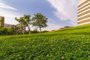 ĴĻˇg(sh)W(xu)Ժ^m(x)W(xu)ԺʲôI(y)