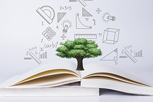 2022걱⸽УpZ(y)W(xu)У(ԭ(gu)H)