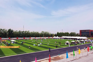 г(yng)^(q)PČW(xu)УnώΣ(du)W(xu)(gu)W(xu)кΎ