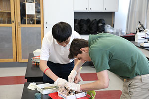 ʿDl(wi)ǌW(xu)У-ZSW(xu)ԺĎYrô