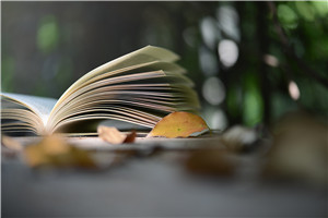 ོ?q)WУСW(xu)һM(fi)ôǶ