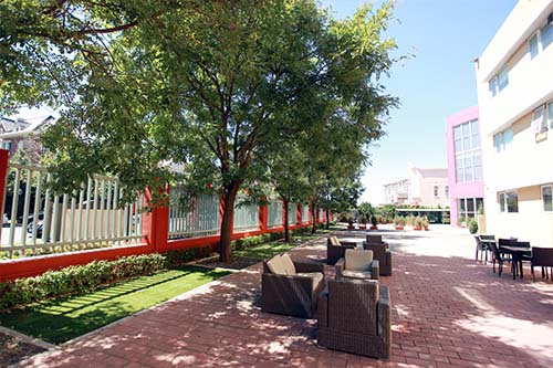 青苗國際雙語學(xué)校