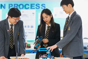 `DW(xu)УW(xu)ôЇW(xu)