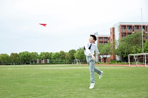 zDW(wng)_501275501_وwwCI(y)ã.jpg