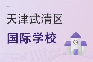 天津武清區(qū)國(guó)際學(xué)校