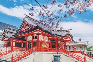 2022걱\(chng)(gu)Z(y)W(xu)У鱤W(xu)Ժձ(gu)Hаȡ(bio)(zhn)