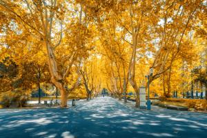 Կ(hu)Ӌ(j)W(xu)I(y)Æ