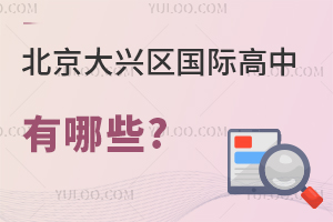 北京大興區(qū)國際高中有哪些