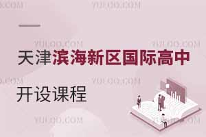 天津濱海新區(qū)國際高中開設(shè)課程
