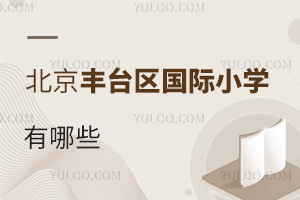 北京豐臺區(qū)國際小學有哪些