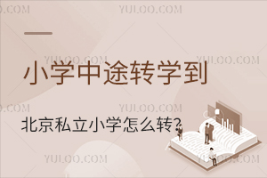 СW(xu);D(zhun)W(xu)˽СW(xu)ôD(zhun)˽D(zhun)W(xu)