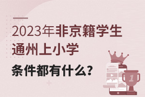 2023ǾWͨСWlʲô