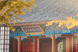 OPEN DAY | ﺲW(xu)УOSSDHn(xing)ĿУ@_\c