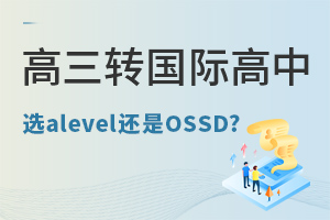 D(zhun)(gu)Hnôxxalevel߀OSSD?