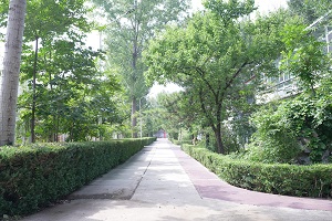 (gu)tW(xu)l.jpg