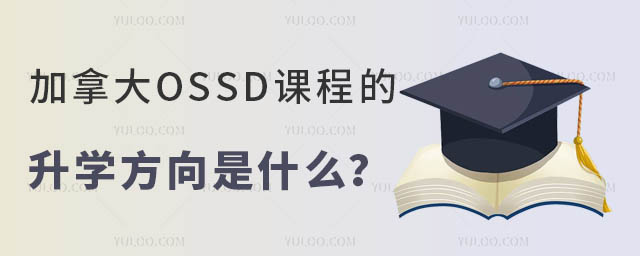 ôOSSDn̵Wʲô.jpg