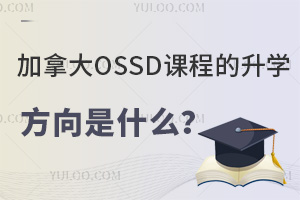 ôOSSDn̵W(xu)ʲô