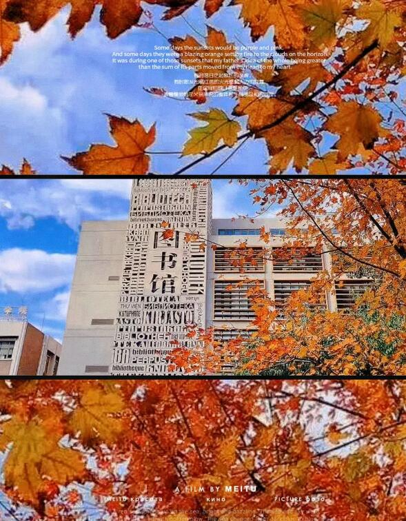 (gu)Z(y)W(xu)(gu)HnУ@h(hun)7.jpg