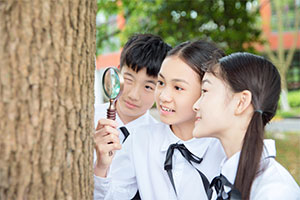 北京市新英才學(xué)校(國內(nèi)班)師資怎么樣？教學(xué)水平好不好