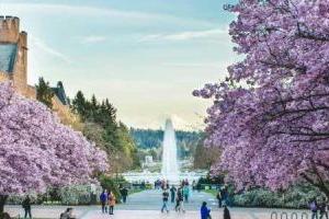 2024＾x\ZWУ鱤WԺձһWMǶ