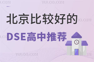 2024DSEɿ(j)l(f)^õDSE]